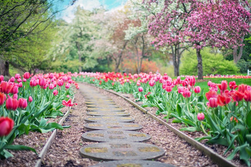 Springs_TOP_Bulb_Flowers